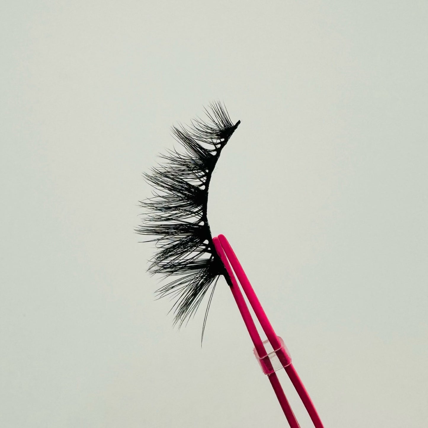 Dramatic half lashes